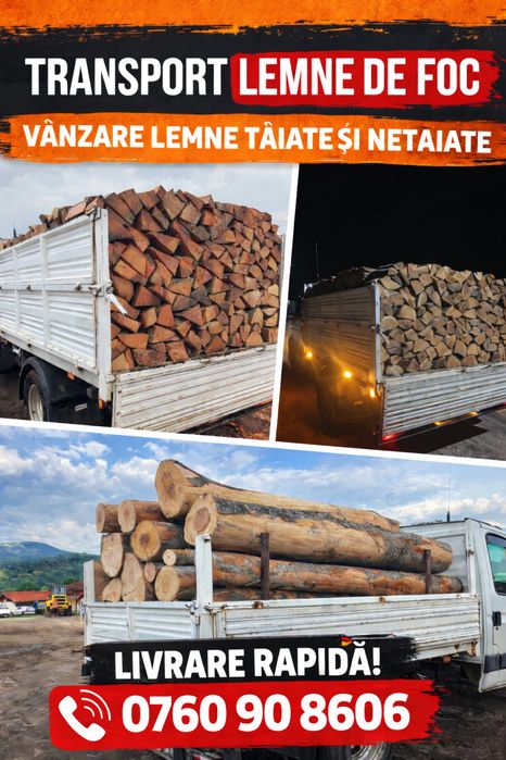 Lemn foc fag calitate superioara !