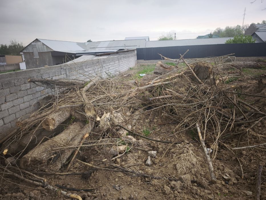 O'tin Otin Отин tekin faqat hammasini olish kerak