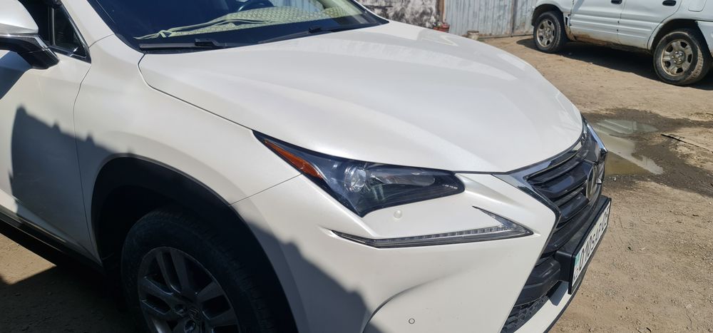 Костоправные, покраска, полировка.