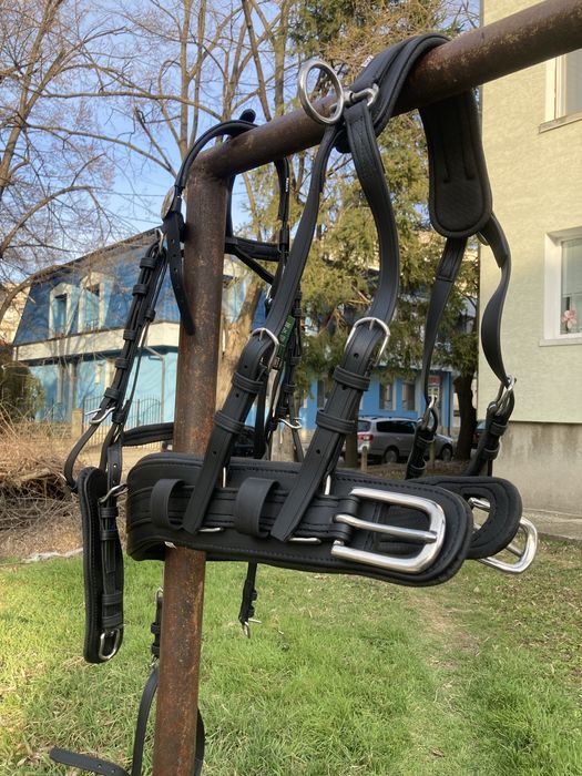 Амуниция за впряг