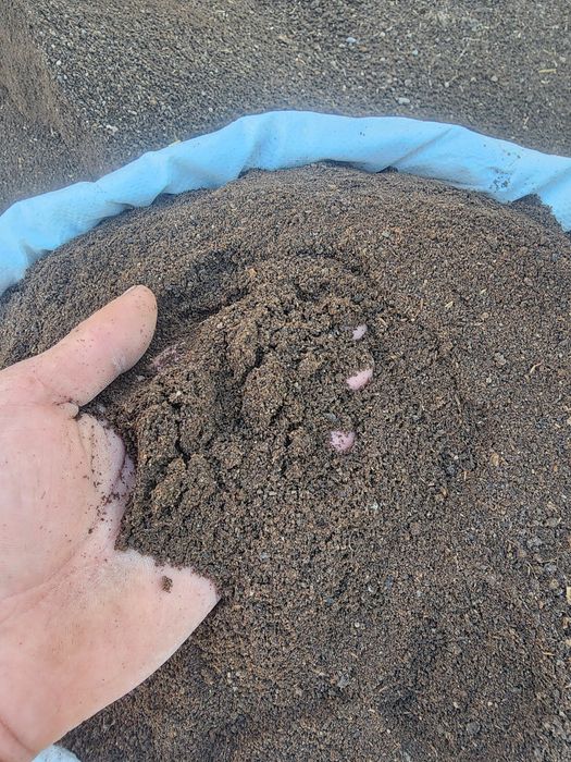 Биогомус сайрам 1