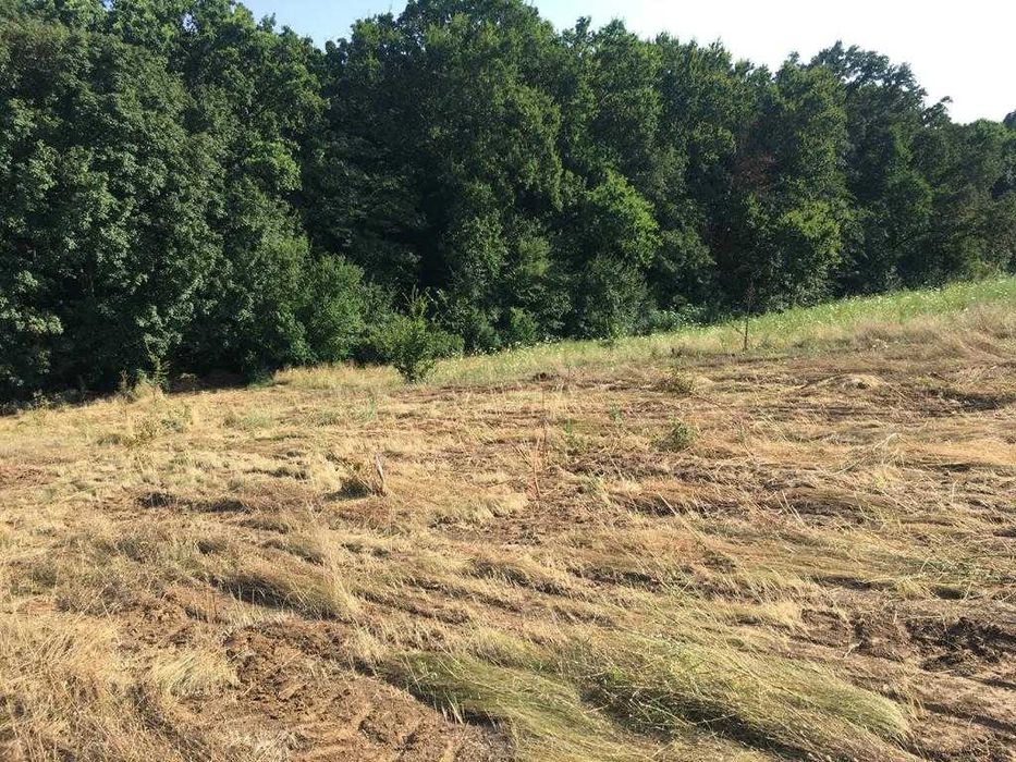 Teren de vânzare – Primul lot lângă pădure, 900 mp