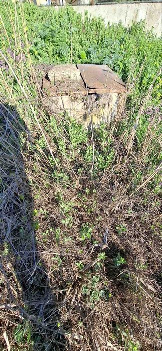 Продава се Парцел в с. Рогачево, Област Добрич - 930 кв.м за 31 €/кв.м - Снимка #4