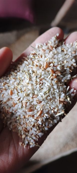 Кепак, қора ун, аралаш дон, ем