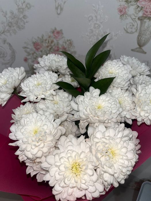 Цветы белые,красивые