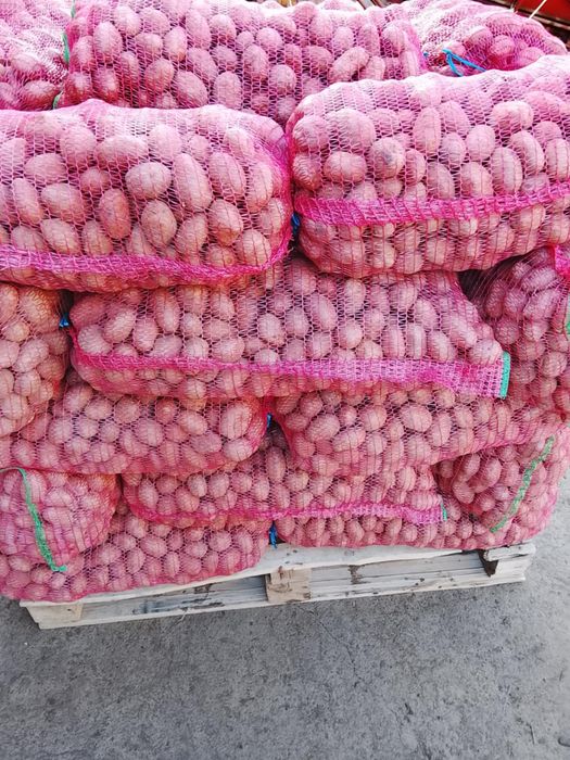 Cartofi rosu samanta