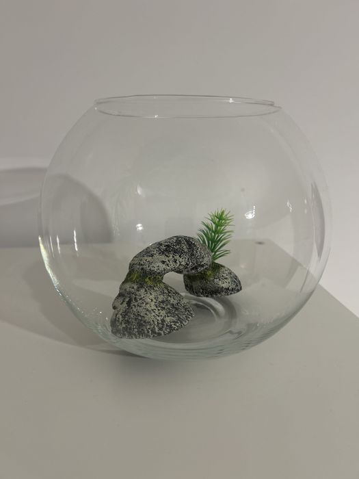 Acvariu cu decoratiune ideal pt beta