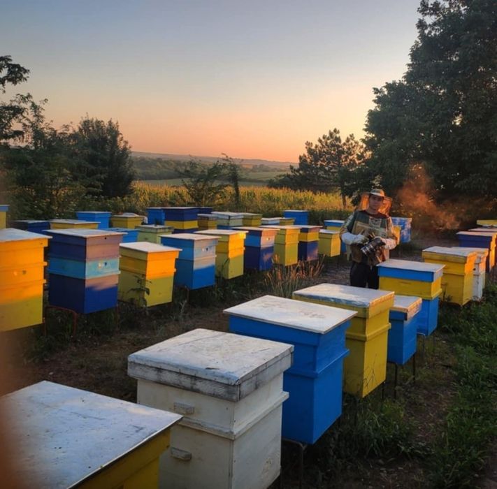 Пчелен Мед Букет натурален, кошери, пчели, буркан