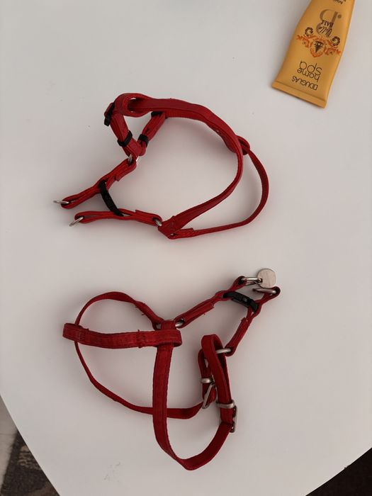 Lesa catel/ pisica marime S