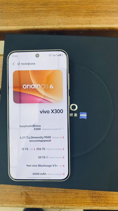 Vivo x300 12/256