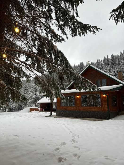 Cabana de închiriat- Iod, Rastolita, relaxare in natura