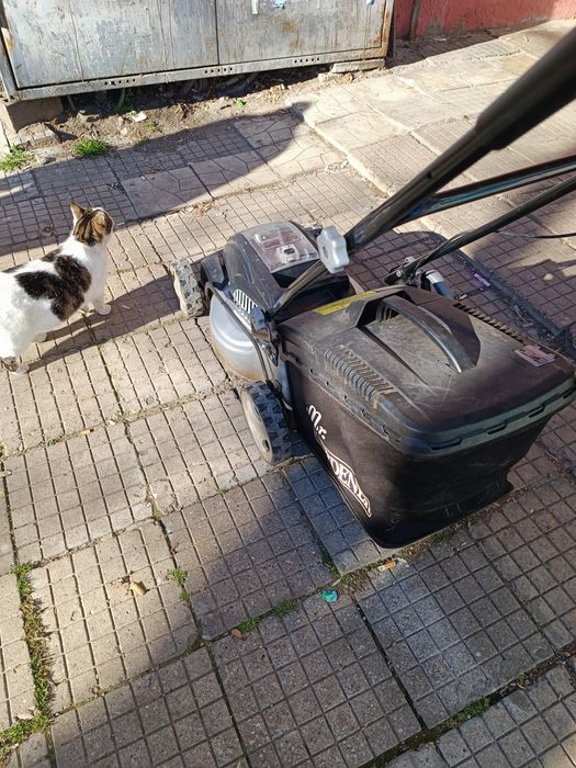 Ел Косачка с голяма батерия