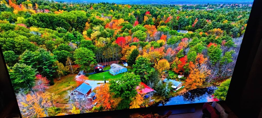 Телевизор LG OLED 65CX