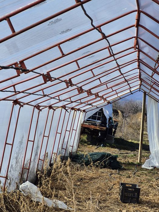 Оранжерия 1 бр 1602