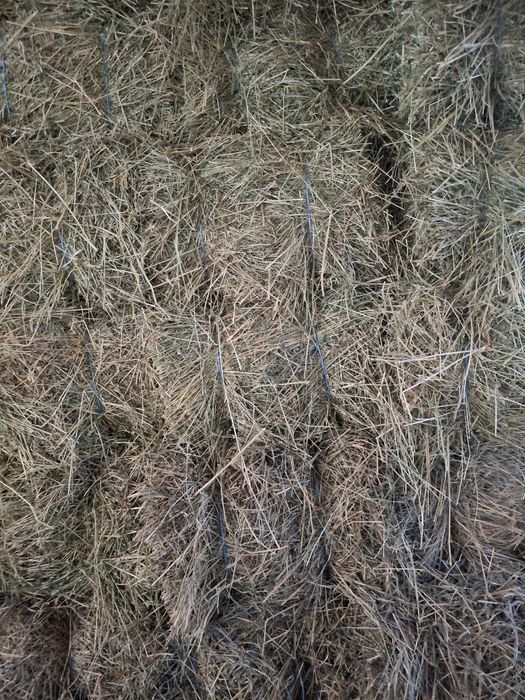 Baloți de lucernă și de trifoi