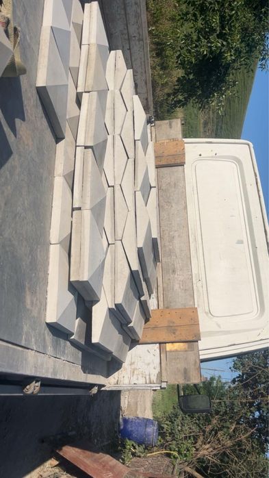 Stalpi/spalieri :capace gard !