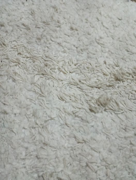 Продам ковёр 2х3.50