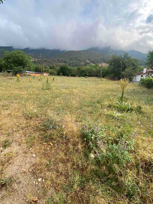 Продава се Парцел в Карлово - 1900 кв.м за 11 €/кв.м - Снимка #1