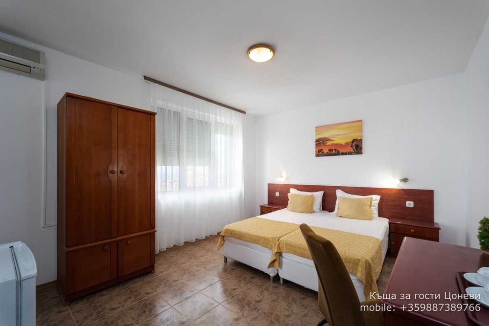 Самостоятелни стаи под наем