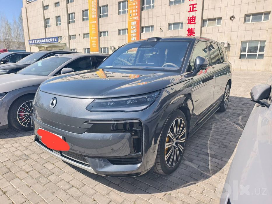 Denza N9 Flagship 2025