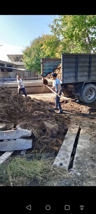 Toza mol pori Tomorqa uchun