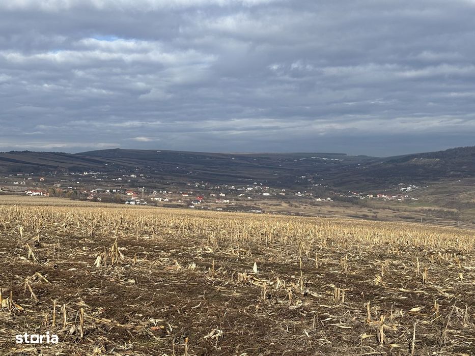 Teren extravilan zona Voronet