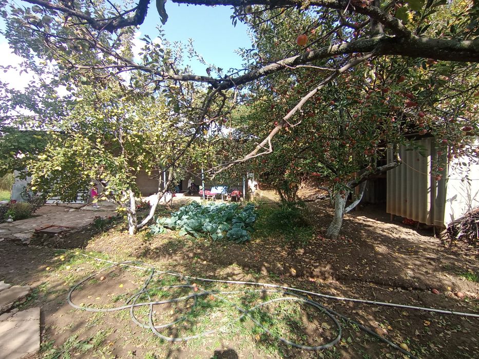 Продаётся дом в чимган 12 соток