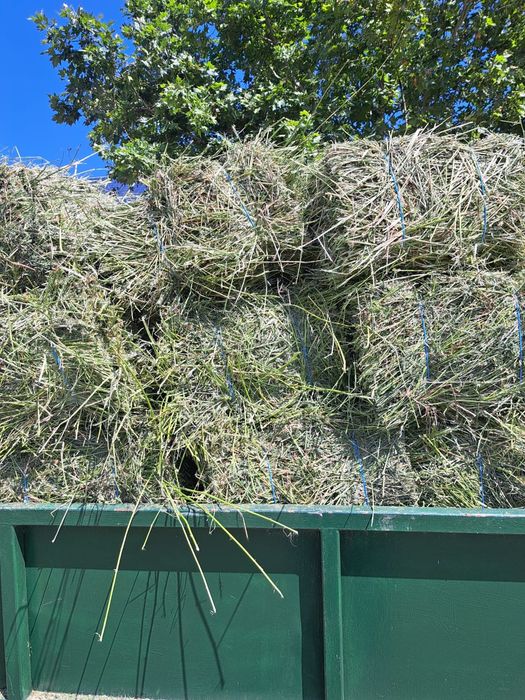 Vand baloti de lucerna, cultura an 2, coasa 1 si coasa 2