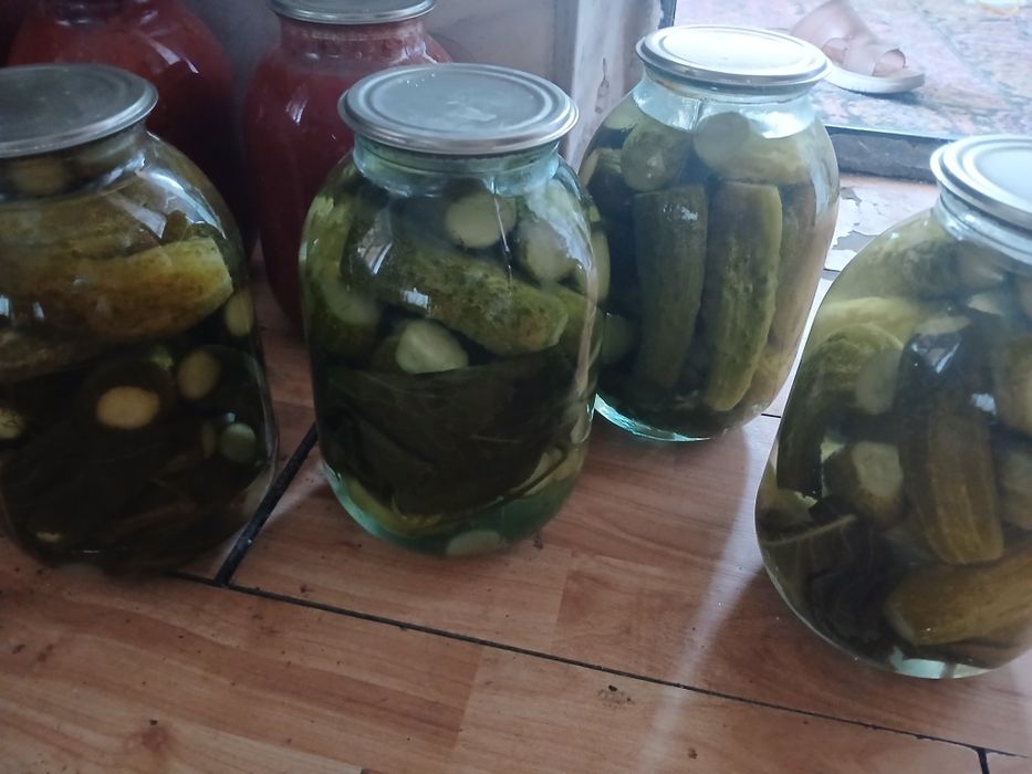 Домашние солёные огурцы
