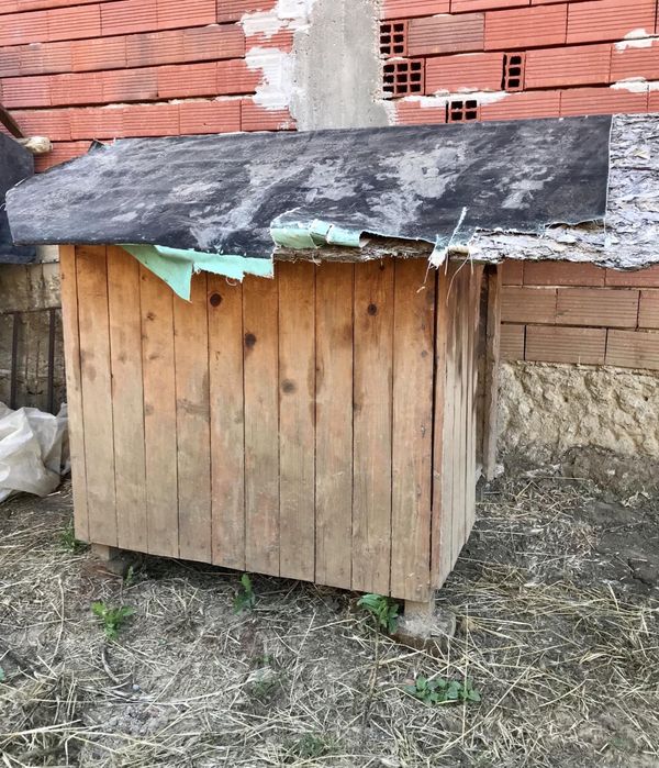 Масивна, голяма кучешка колиба
