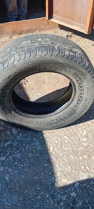 Летние шины nokian
