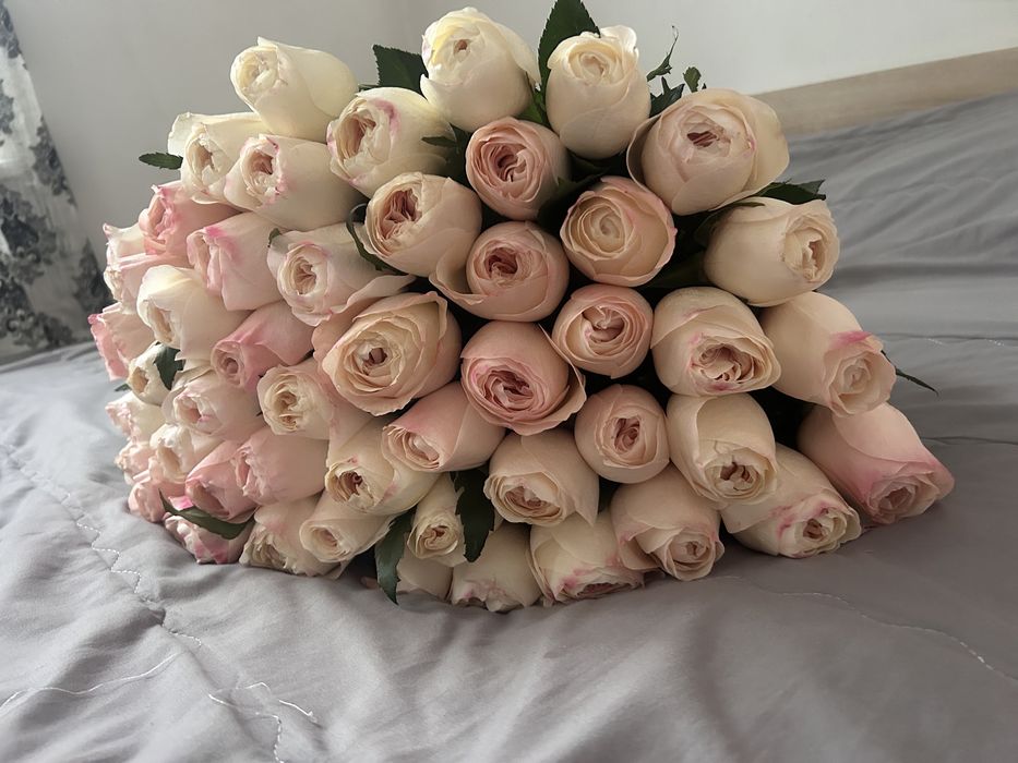 Пиновидные розы . Розы