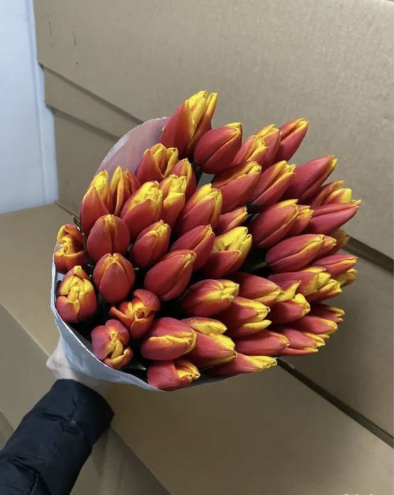 Тюльпаны на 8 марта