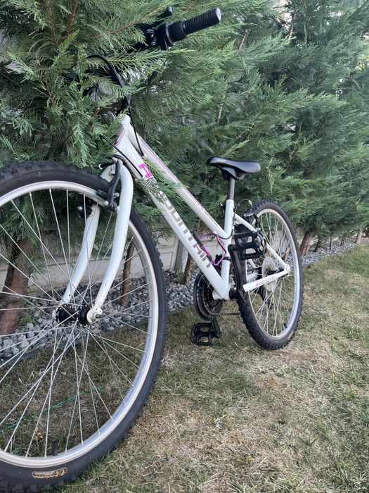 Bicicleta A - MOUNTAIN