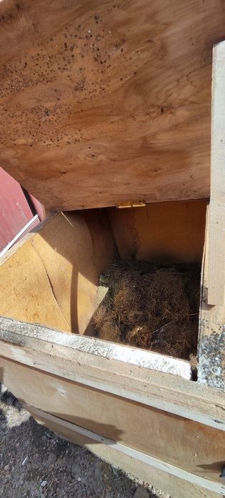 Отдам даром будку для собаки