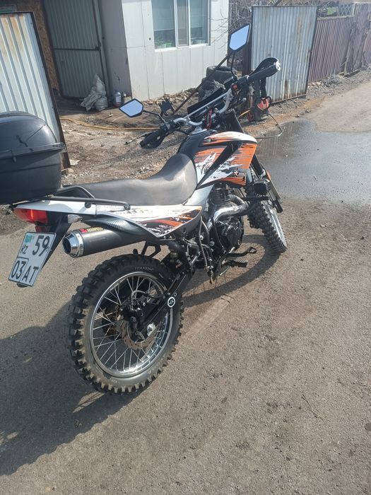 Рейсер пантера 300