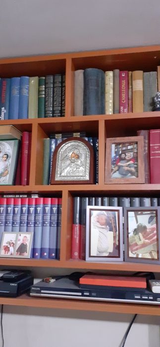 Biblioteca 520 cărți