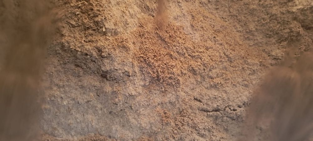 Tarațe grau  la sac