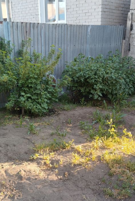Продам частный дом.