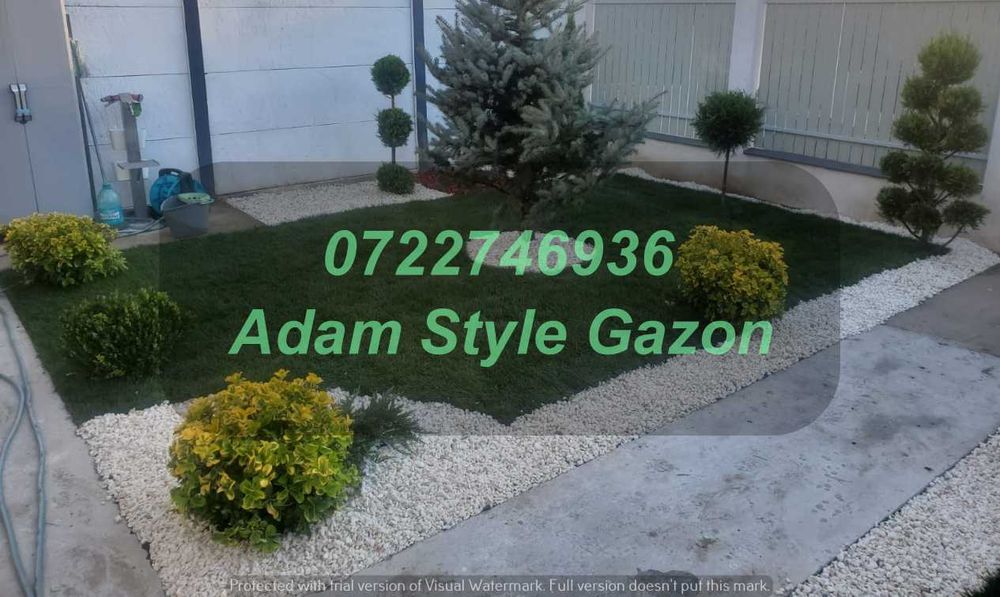 Gazon Profesional pentru Grădini Elegante