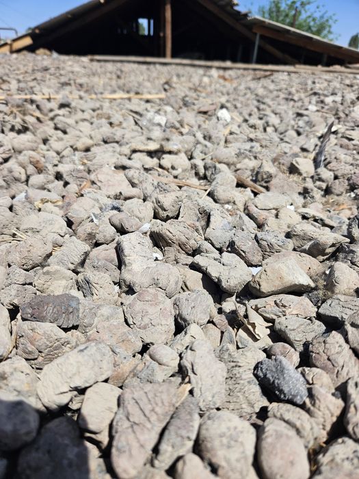 Керамзит. Самовывоз