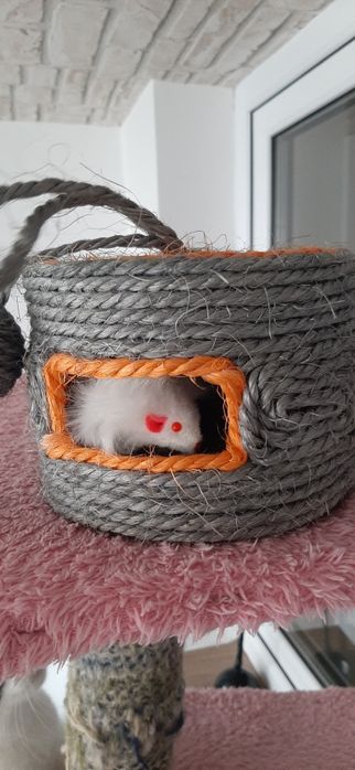 Jucărie pentru pisici