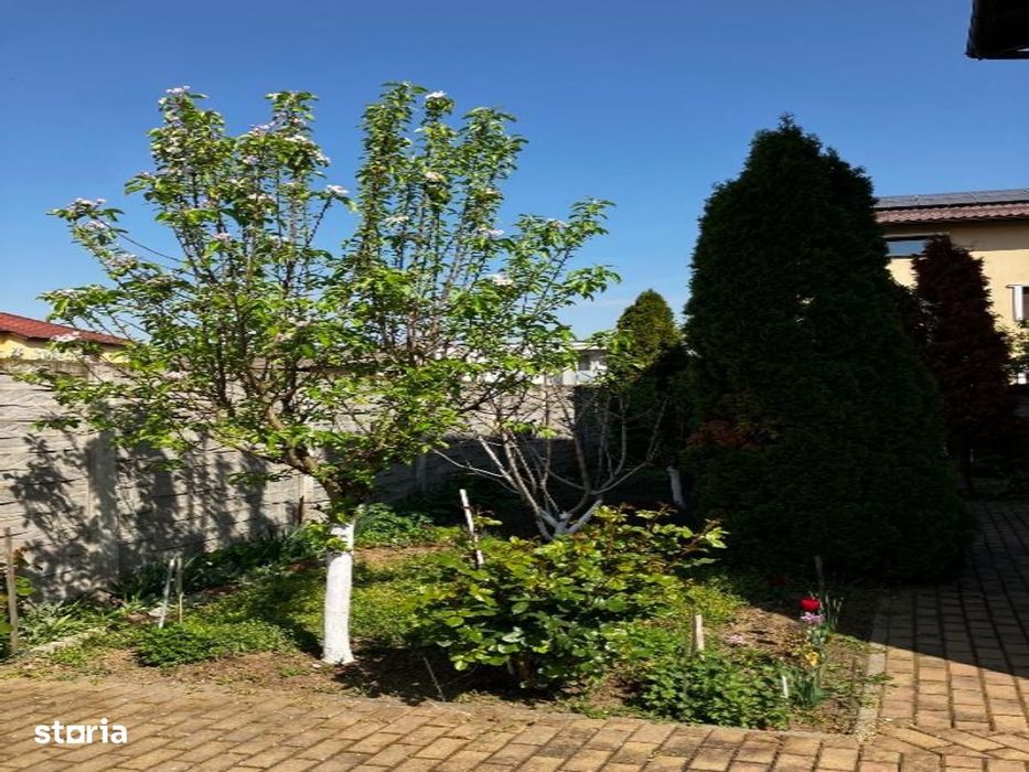 Apartament 3 camere - Braytim