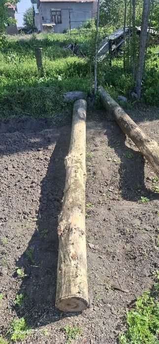 Балка Terak терак бор 4 дона 4 метрли