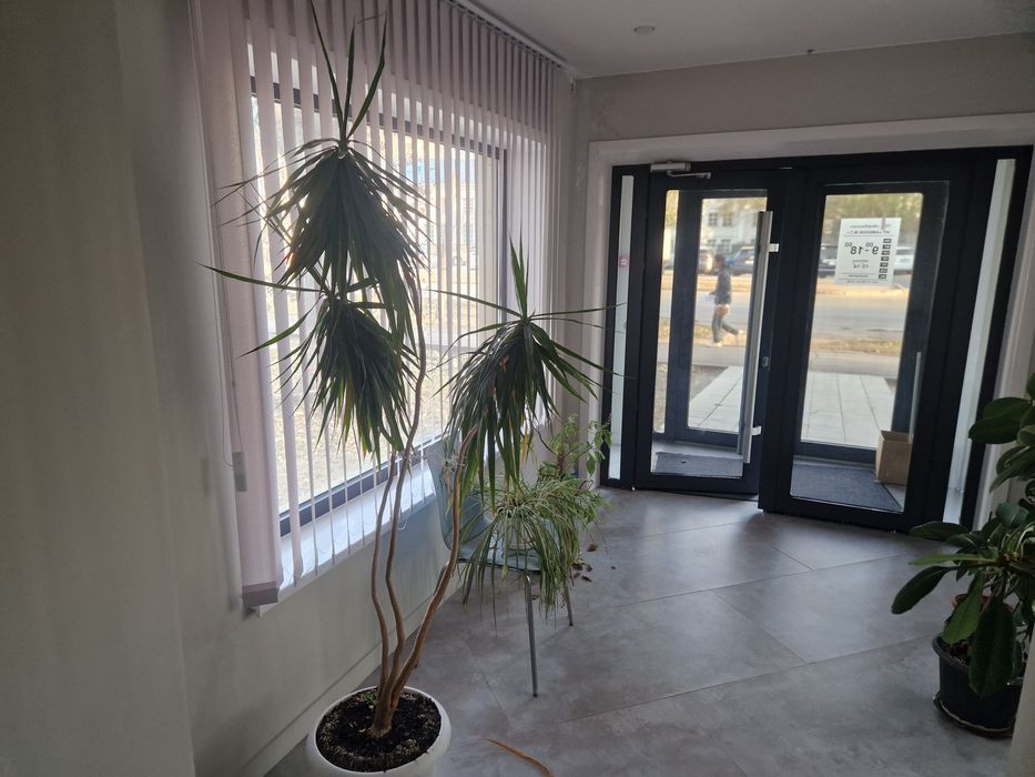 Сдам в аренду помещение