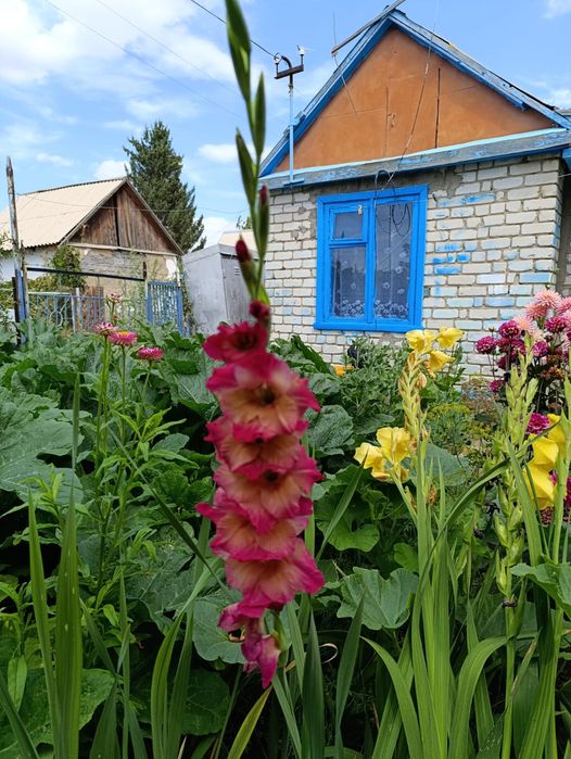 Продам дачу на 16 км идеал