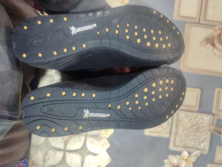 baksyorski barsofka everlast