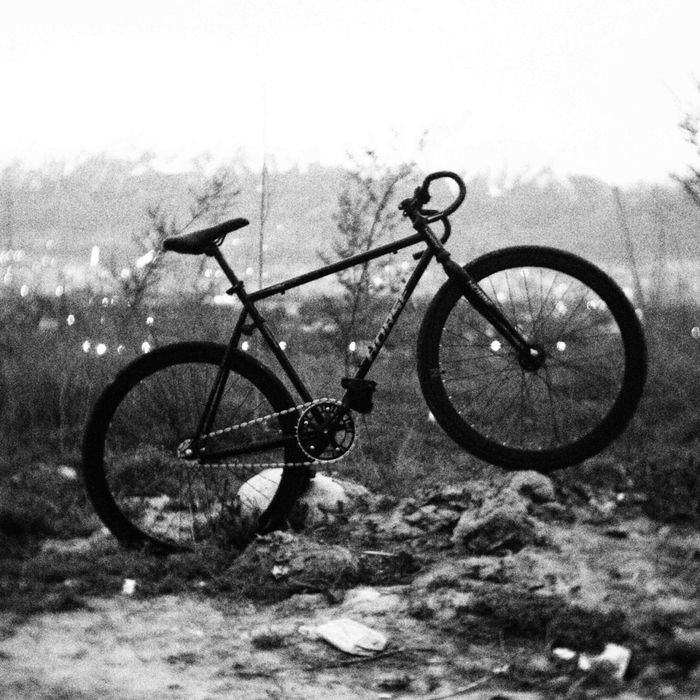 Horse fixed gear