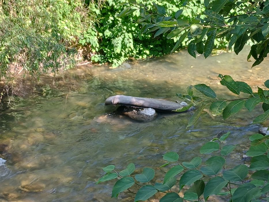 Apartament de vanzare la munte ( Azuga )