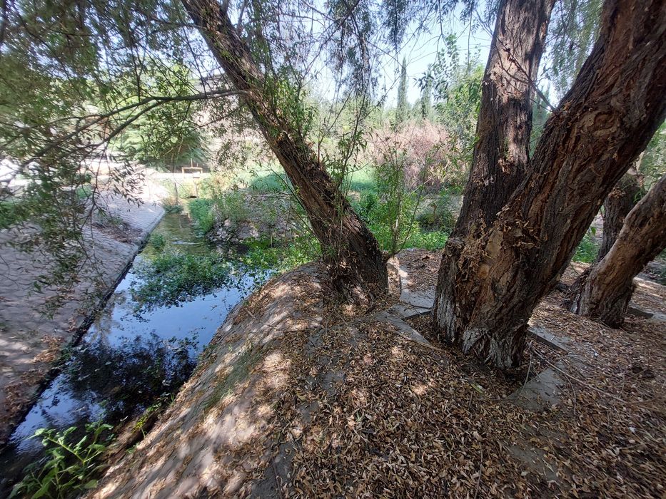 11 сотих 5 хона Собурбулок